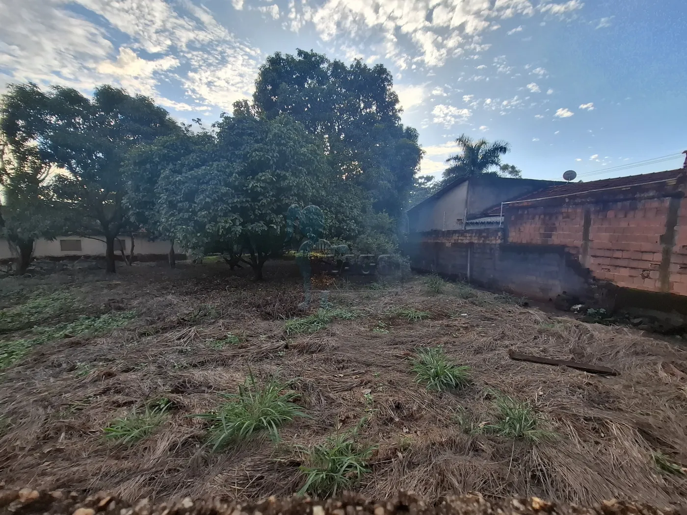 Comprar Rural / S&iacute;tio em Ribeir&atilde;o Preto R$ 2.700.000,00 - Foto 5