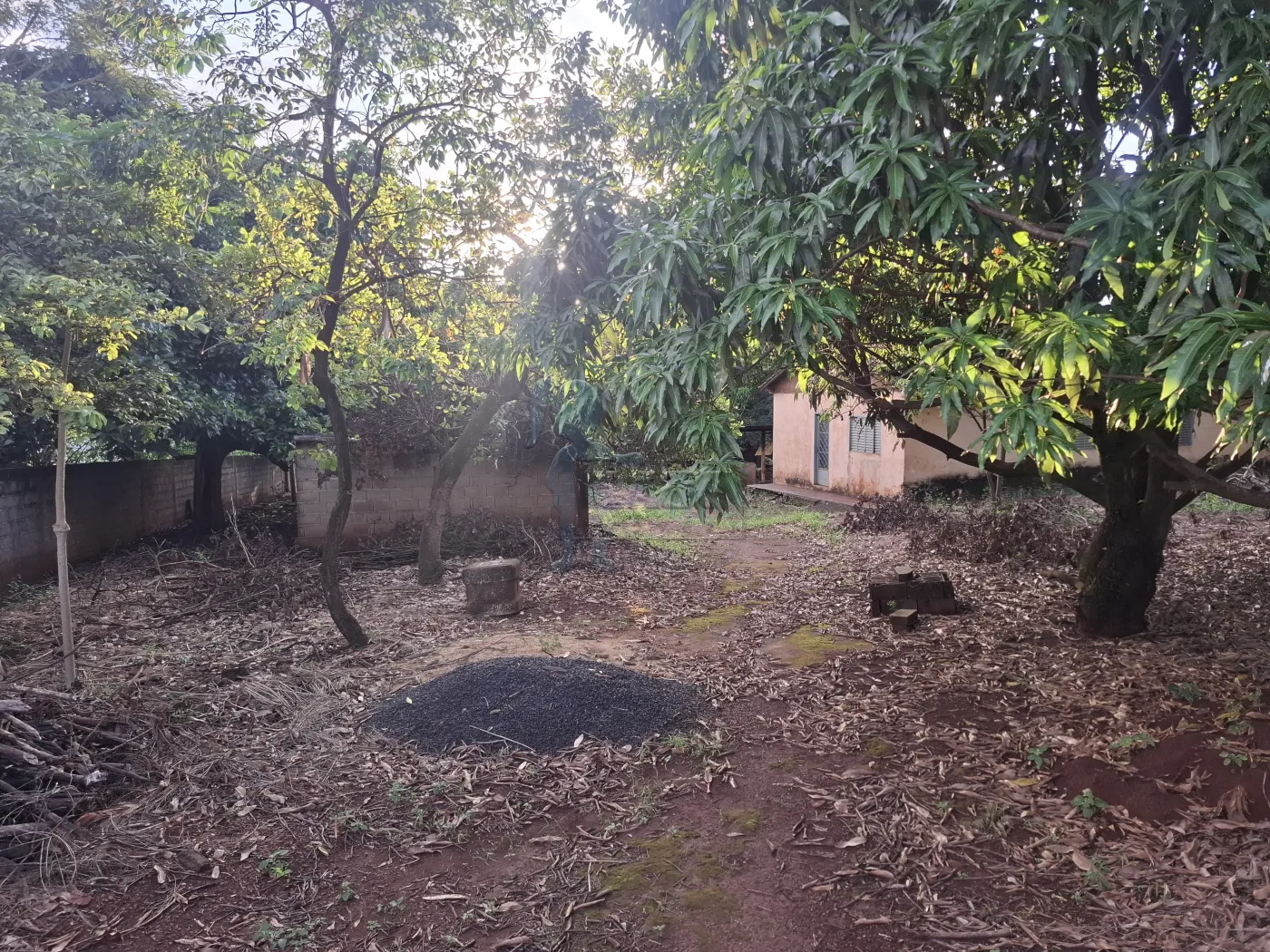 Comprar Rural / S&iacute;tio em Ribeir&atilde;o Preto R$ 2.700.000,00 - Foto 1