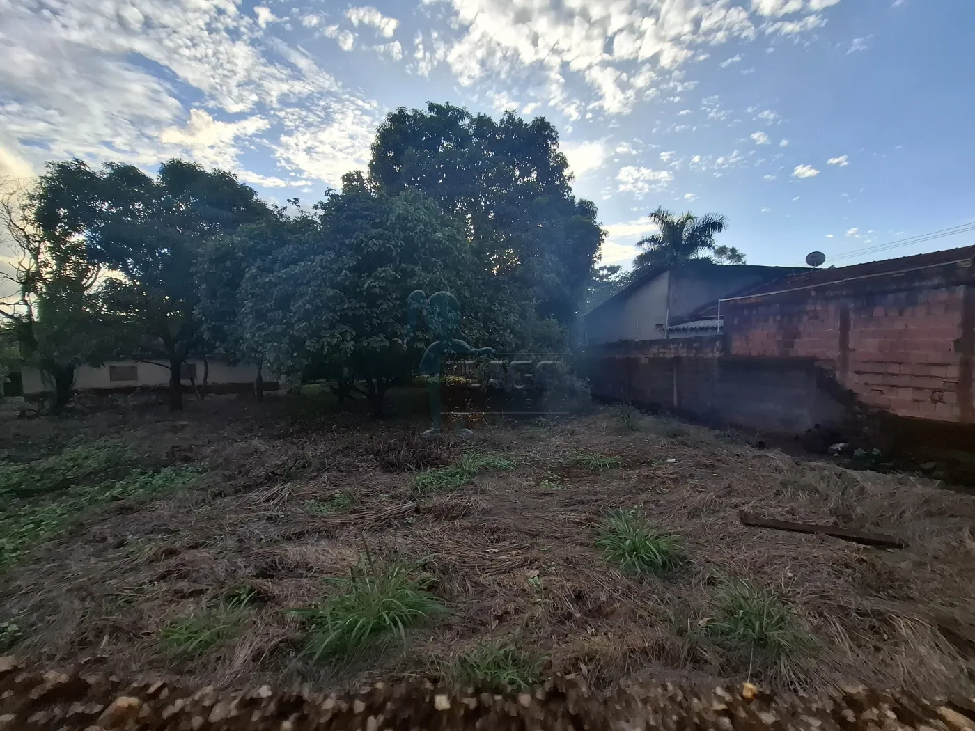 Comprar Rural / S&iacute;tio em Ribeir&atilde;o Preto R$ 2.700.000,00 - Foto 6