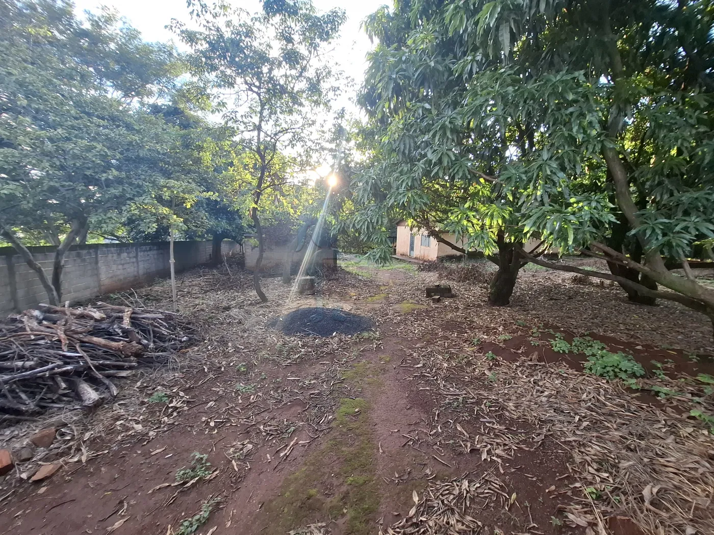 Comprar Rural / S&iacute;tio em Ribeir&atilde;o Preto R$ 2.700.000,00 - Foto 9