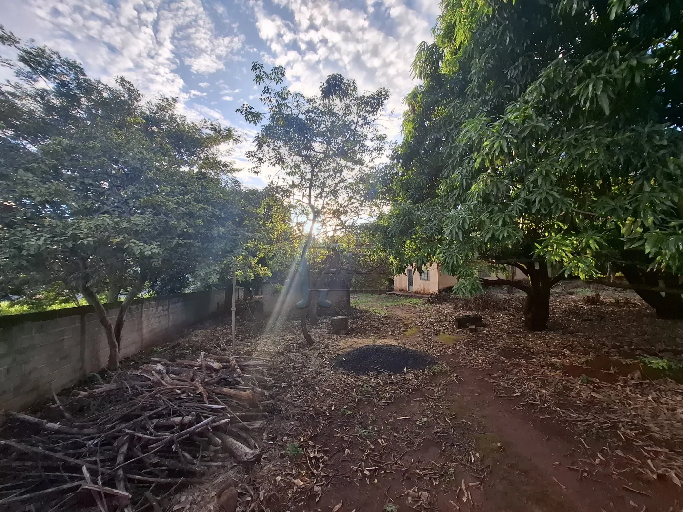 Comprar Rural / S&iacute;tio em Ribeir&atilde;o Preto R$ 2.700.000,00 - Foto 10