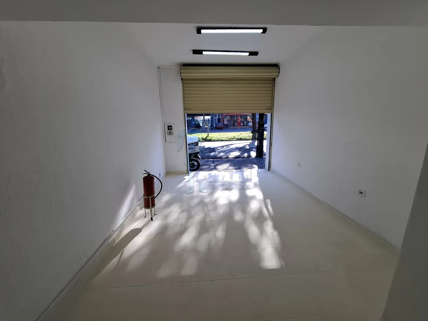 Alugar Comercial padr&atilde;o / Galp&atilde;o - Armaz&eacute;m em Ribeir&atilde;o Preto R$ 3.000,00 - Foto 4