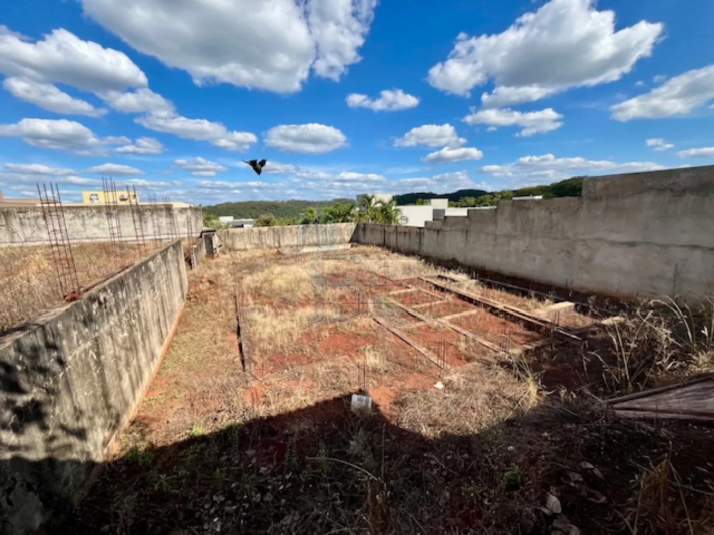 Comprar Terreno / Condom&iacute;nio em Bonfim Paulista R$ 750.000,00 - Foto 3