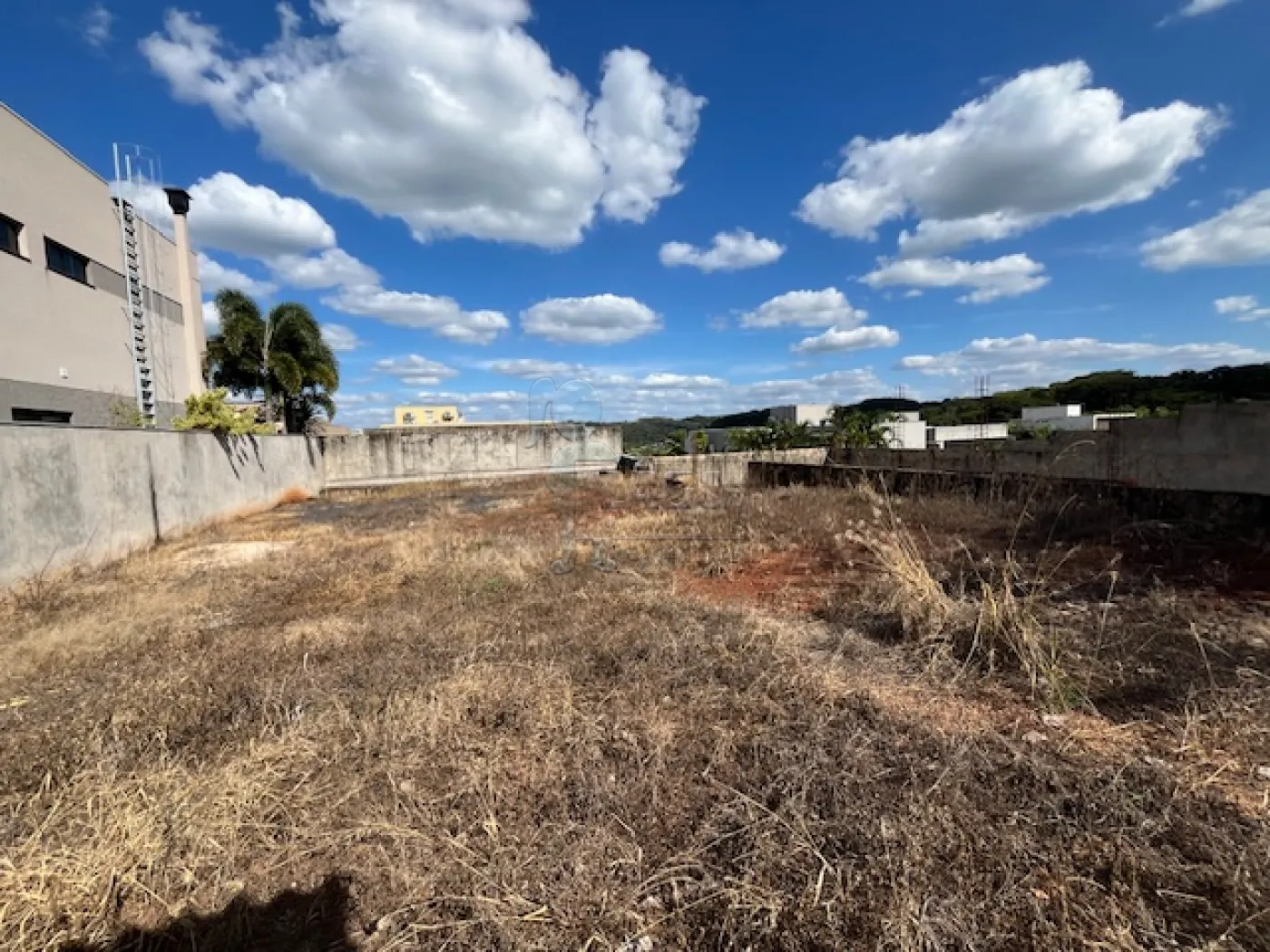Comprar Terreno / Condom&iacute;nio em Bonfim Paulista R$ 650.000,00 - Foto 4