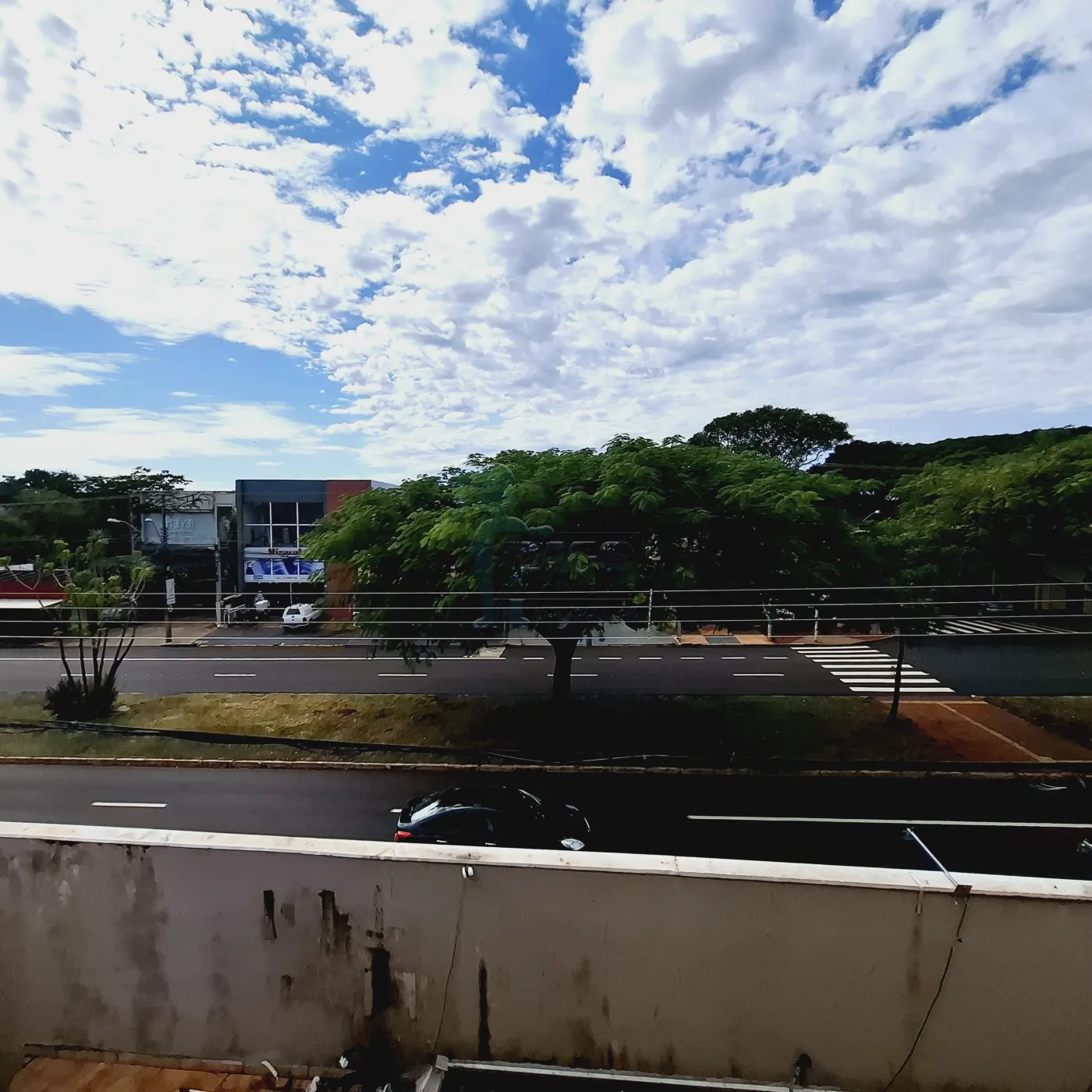 Alugar Comercial padr&atilde;o / Pr&eacute;dio em Ribeir&atilde;o Preto R$ 5.500,00 - Foto 10
