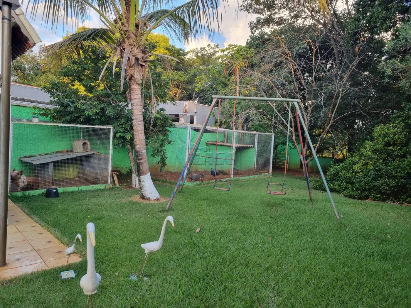Comprar Rural / Rancho em Jardin&oacute;polis R$ 480.000,00 - Foto 10