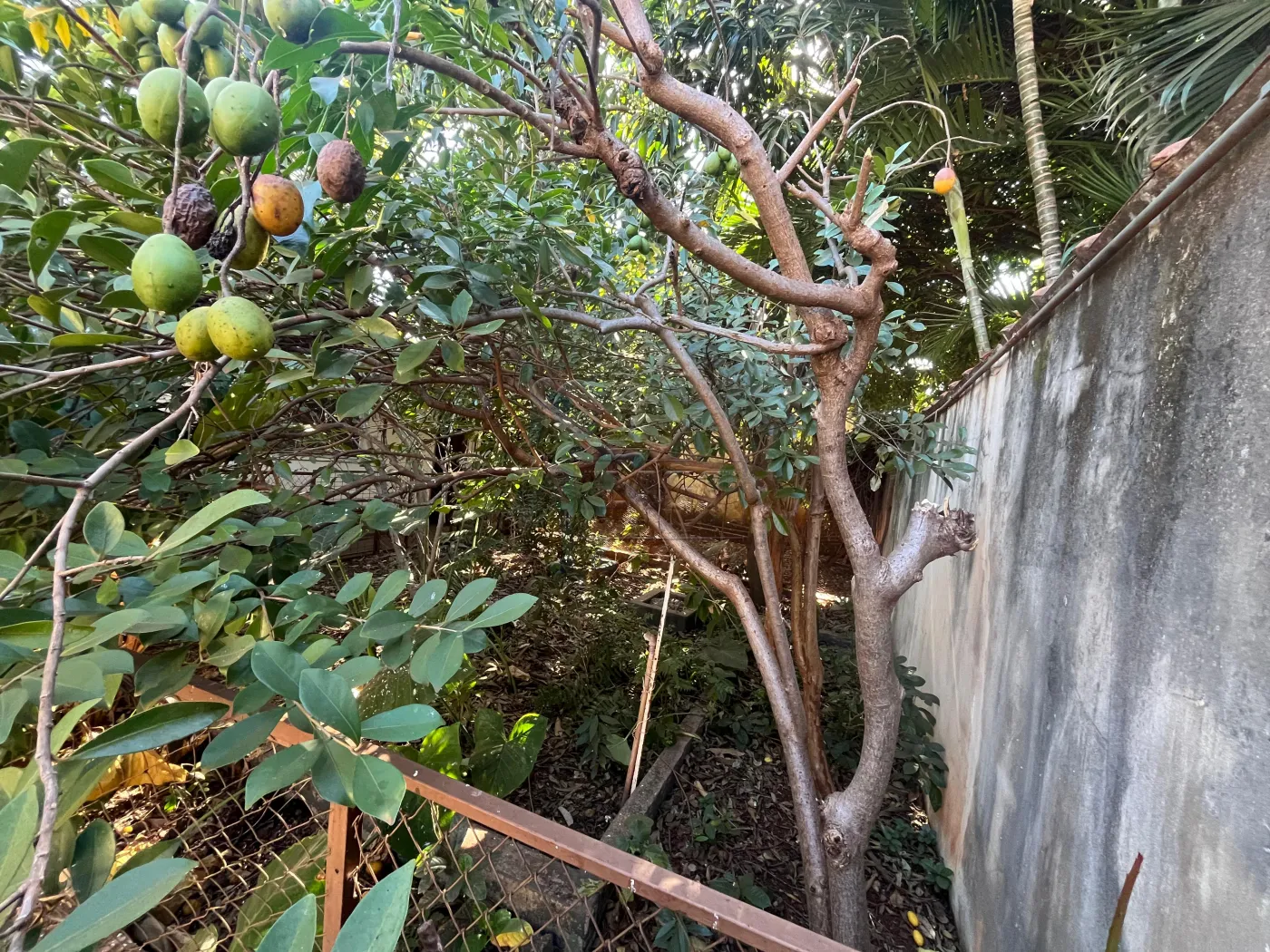 Comprar Casa / Padr&atilde;o em Ribeir&atilde;o Preto R$ 425.000,00 - Foto 31