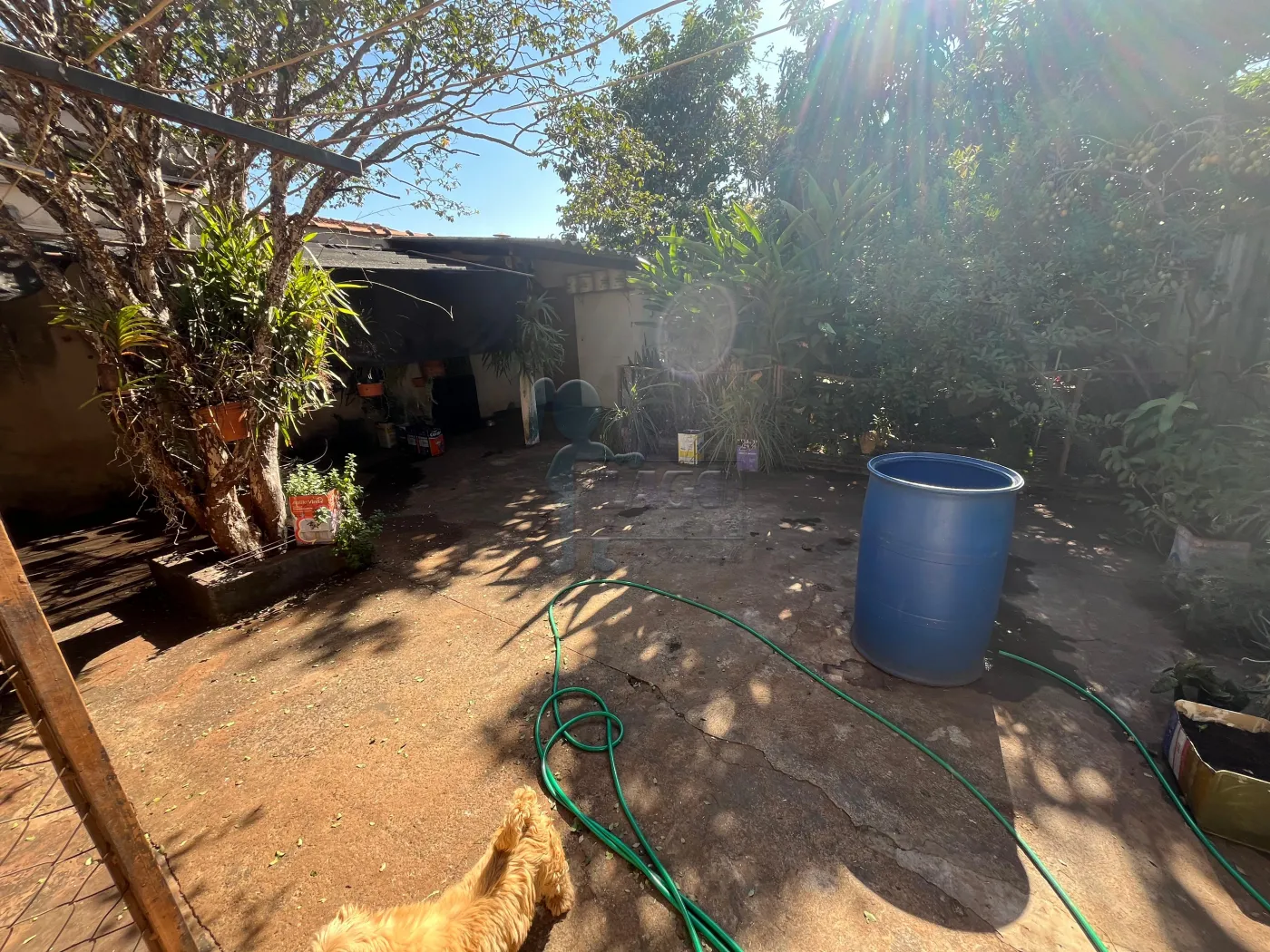 Comprar Casa / Padr&atilde;o em Ribeir&atilde;o Preto R$ 425.000,00 - Foto 30