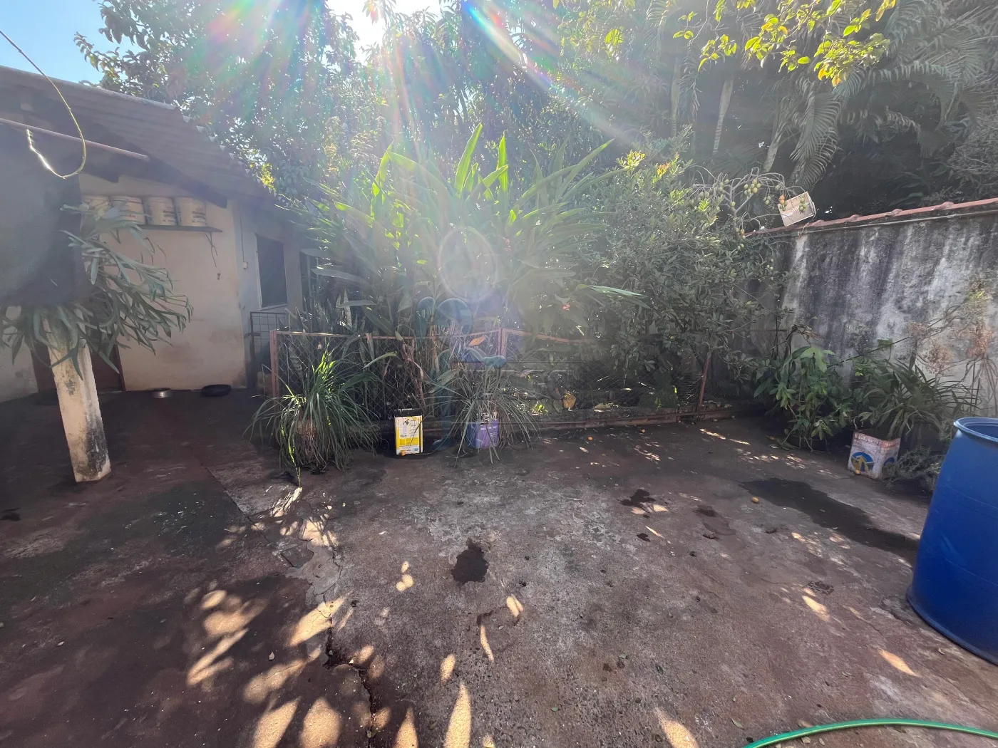 Comprar Casa / Padr&atilde;o em Ribeir&atilde;o Preto R$ 425.000,00 - Foto 12