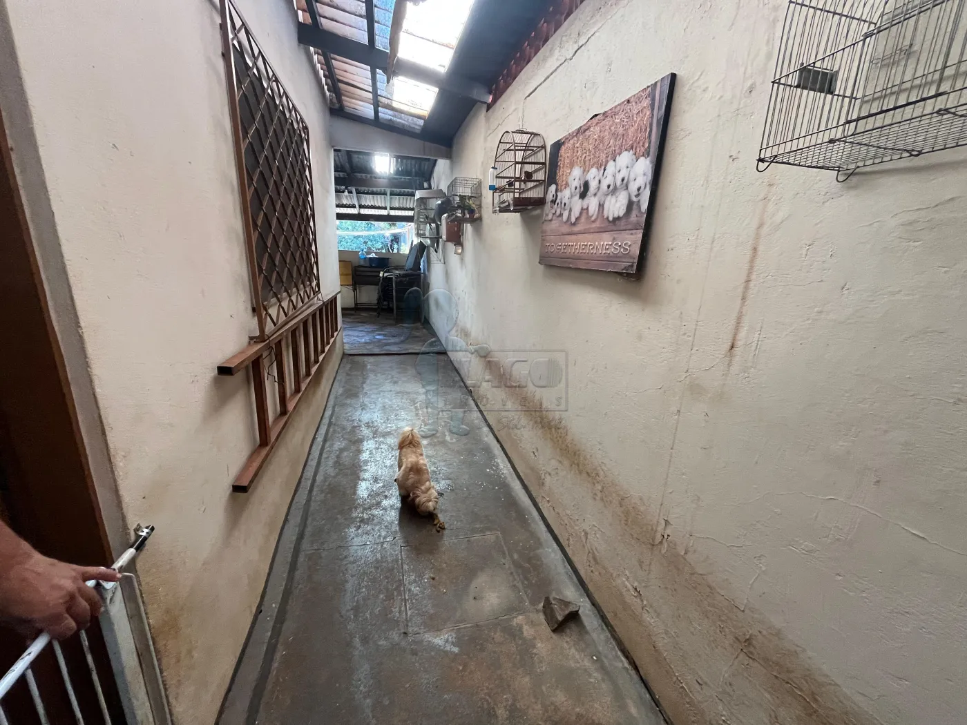 Comprar Casa / Padr&atilde;o em Ribeir&atilde;o Preto R$ 425.000,00 - Foto 18