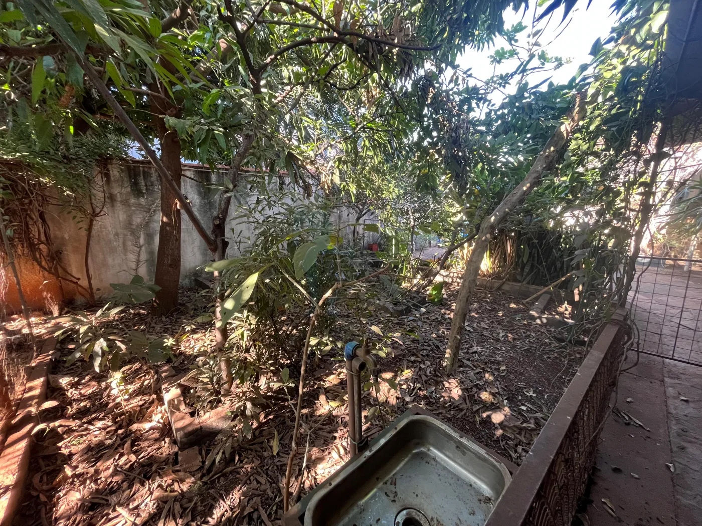 Comprar Casa / Padr&atilde;o em Ribeir&atilde;o Preto R$ 425.000,00 - Foto 25