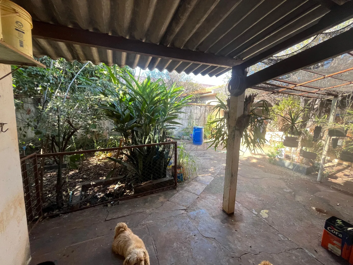 Comprar Casa / Padr&atilde;o em Ribeir&atilde;o Preto R$ 425.000,00 - Foto 26