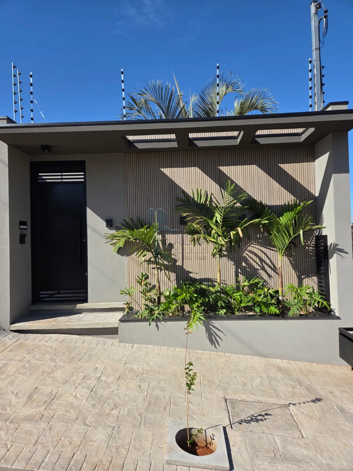 Comprar Casa / Padr&atilde;o em Sert&atilde;ozinho R$ 790.000,00 - Foto 19