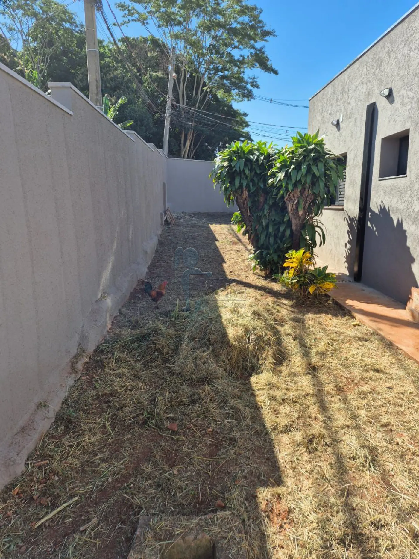 Comprar Casa / Padr&atilde;o em Bonfim Paulista (Ribeir&atilde;o Preto) R$ 600.000,00 - Foto 4