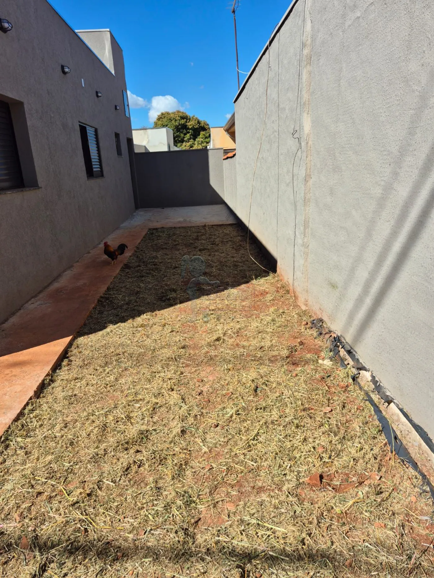 Comprar Casa / Padr&atilde;o em Bonfim Paulista (Ribeir&atilde;o Preto) R$ 600.000,00 - Foto 5