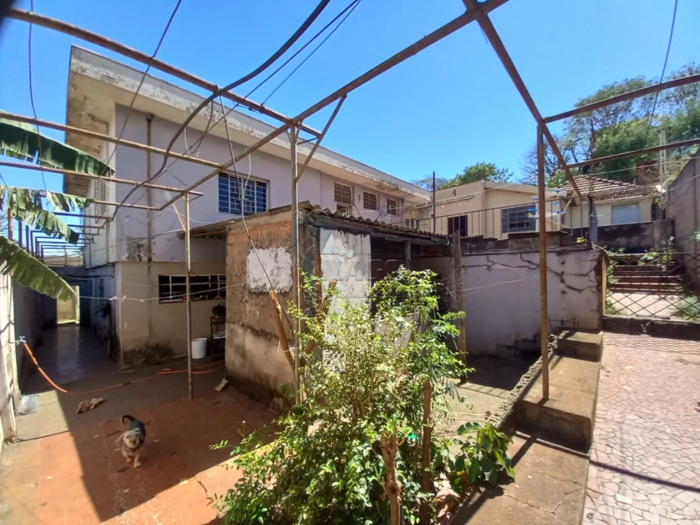 Comprar Comercial padr&atilde;o / Casa comercial em Ribeir&atilde;o Preto R$ 800.000,00 - Foto 4