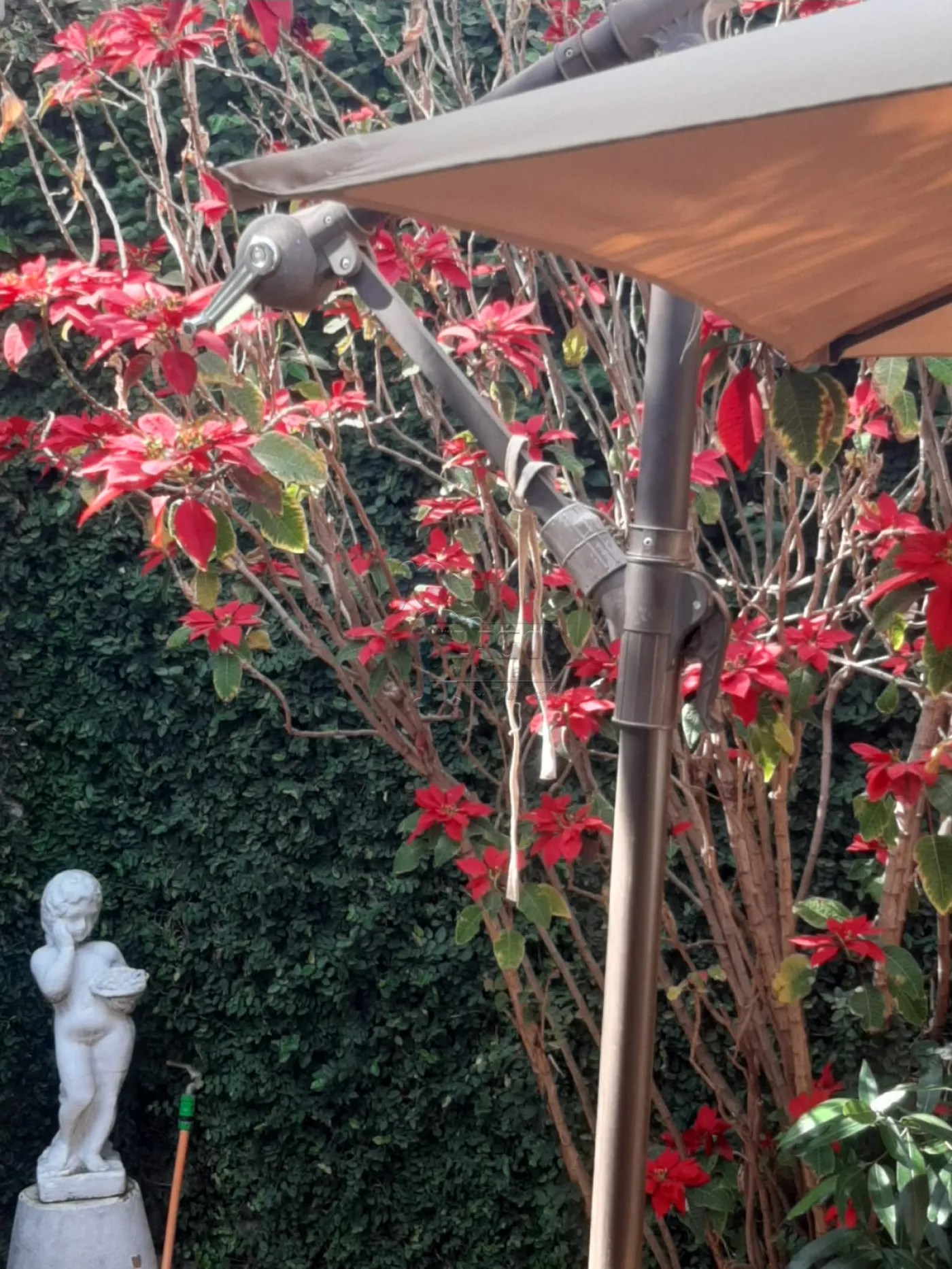 Comprar Casa condom&iacute;nio / Padr&atilde;o em Bonfim Paulista R$ 795.000,00 - Foto 27