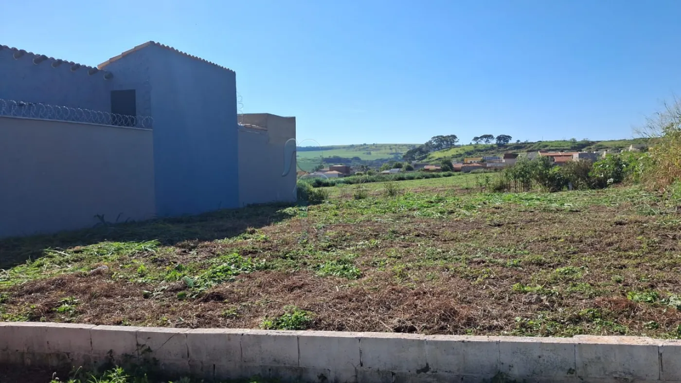 Comprar Terreno / Padr&atilde;o em Bonfim Paulista (Ribeir&atilde;o Preto) R$ 250.000,00 - Foto 1