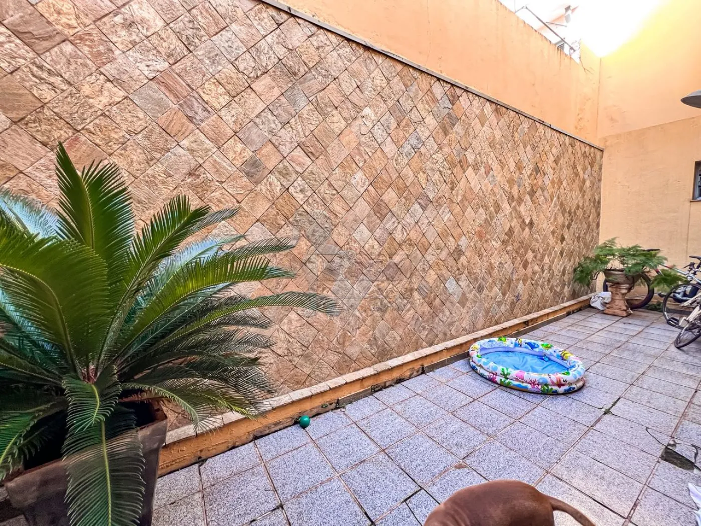 Alugar Apartamento / Padr&atilde;o em Ribeir&atilde;o Preto R$ 1.100,00 - Foto 9