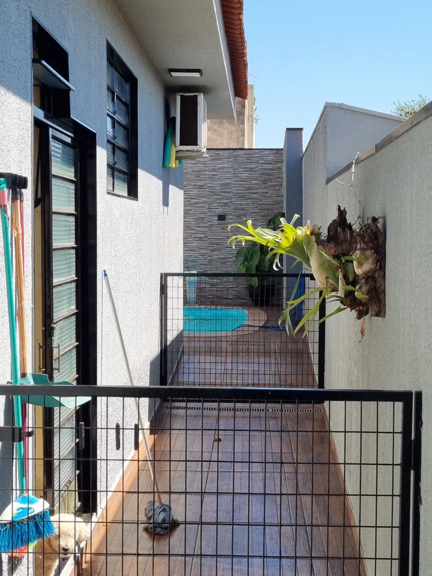 Comprar Casa / Padr&atilde;o em Ribeir&atilde;o Preto R$ 730.000,00 - Foto 35