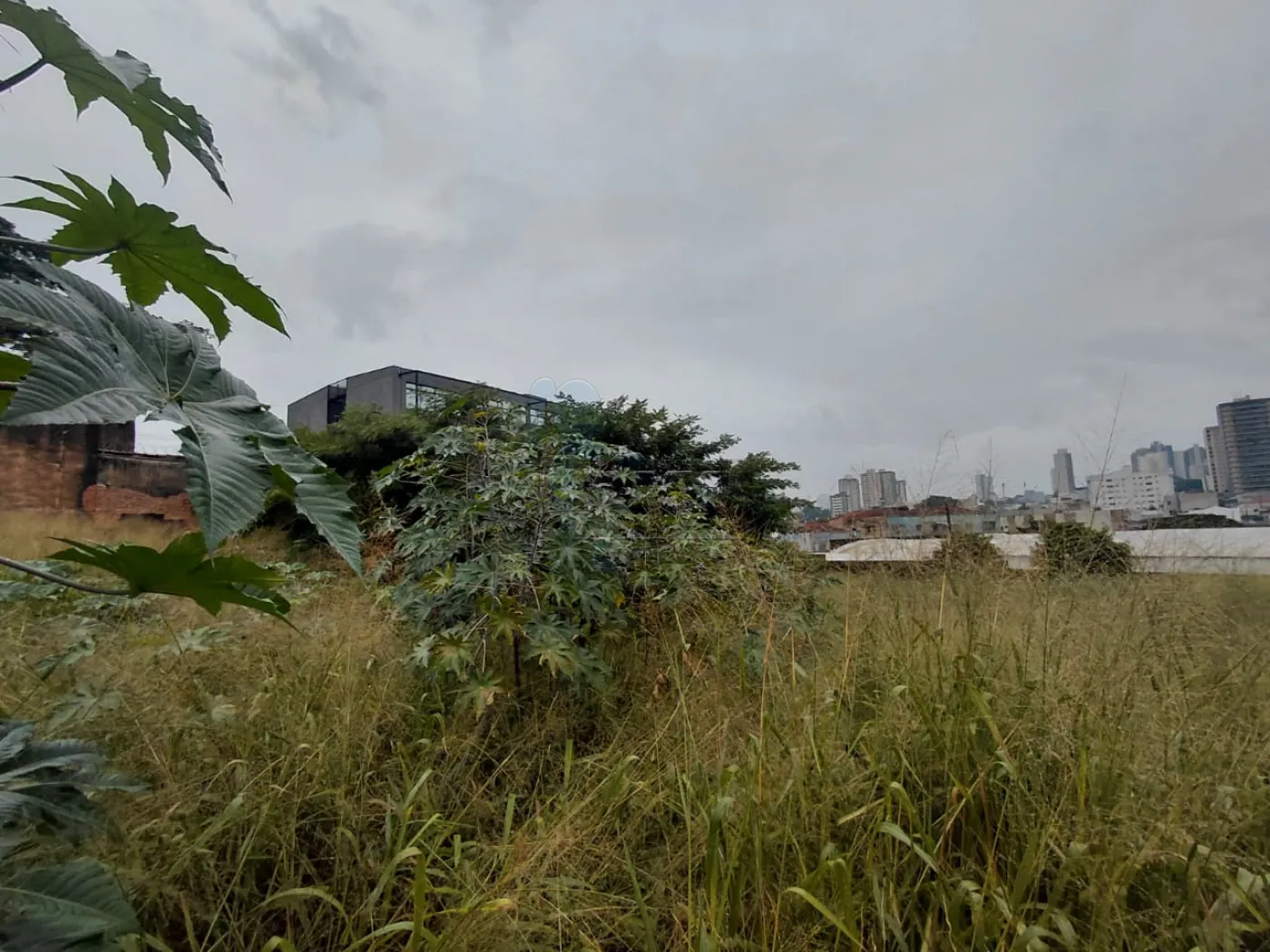 Comprar Terreno / Comercial em Ribeir&atilde;o Preto R$ 2.086.000,00 - Foto 6