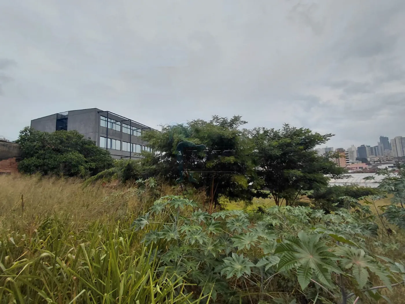 Comprar Terreno / Comercial em Ribeir&atilde;o Preto R$ 2.086.000,00 - Foto 4