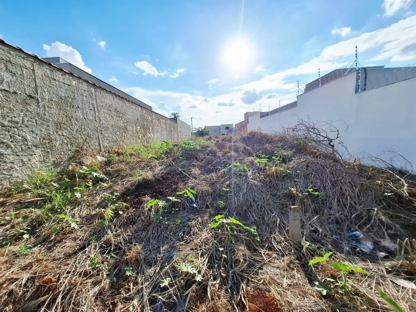 Comprar Terreno / Padr&atilde;o em Ribeir&atilde;o Preto R$ 191.000,00 - Foto 3