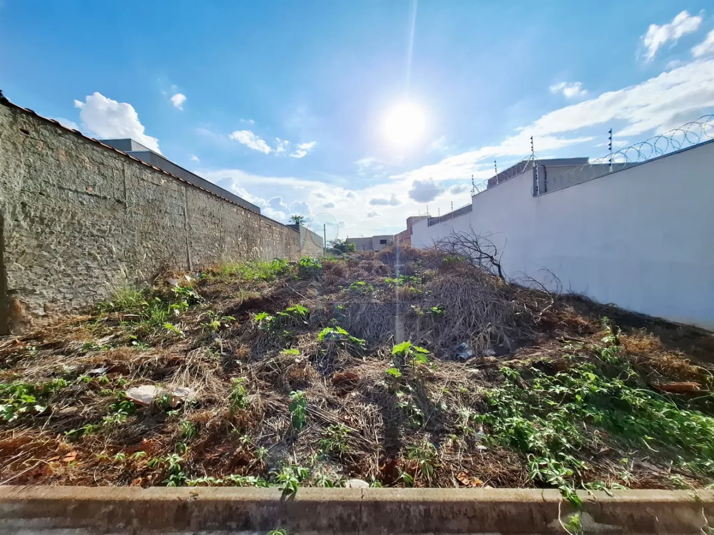 Comprar Terreno / Padr&atilde;o em Ribeir&atilde;o Preto R$ 191.000,00 - Foto 13