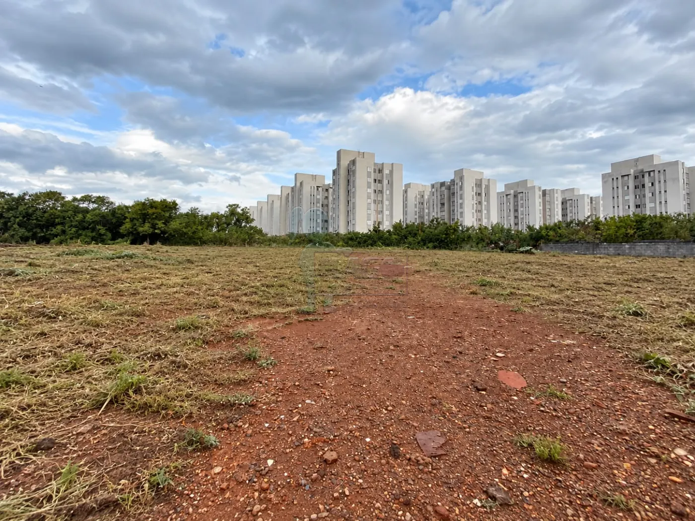 Alugar Terreno / Padr&atilde;o em Ribeir&atilde;o Preto R$ 4.900,00 - Foto 3