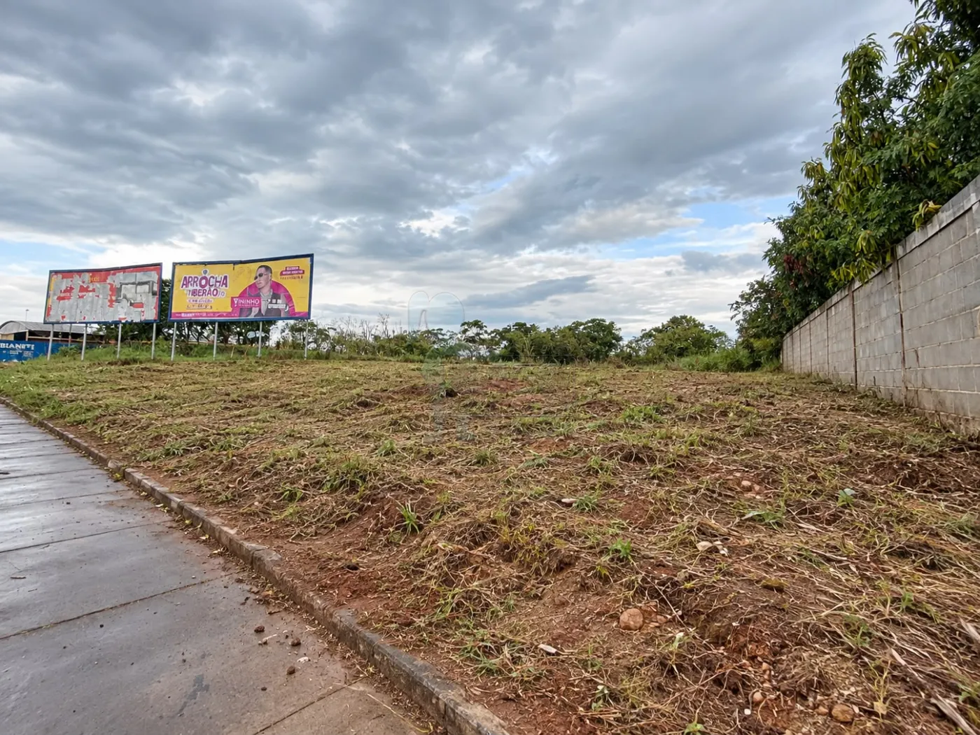 Alugar Terreno / Padr&atilde;o em Ribeir&atilde;o Preto R$ 4.900,00 - Foto 9