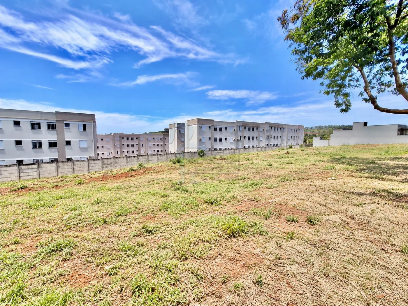 Comprar Terreno / Padr&atilde;o em Ribeir&atilde;o Preto R$ 159.000,00 - Foto 10