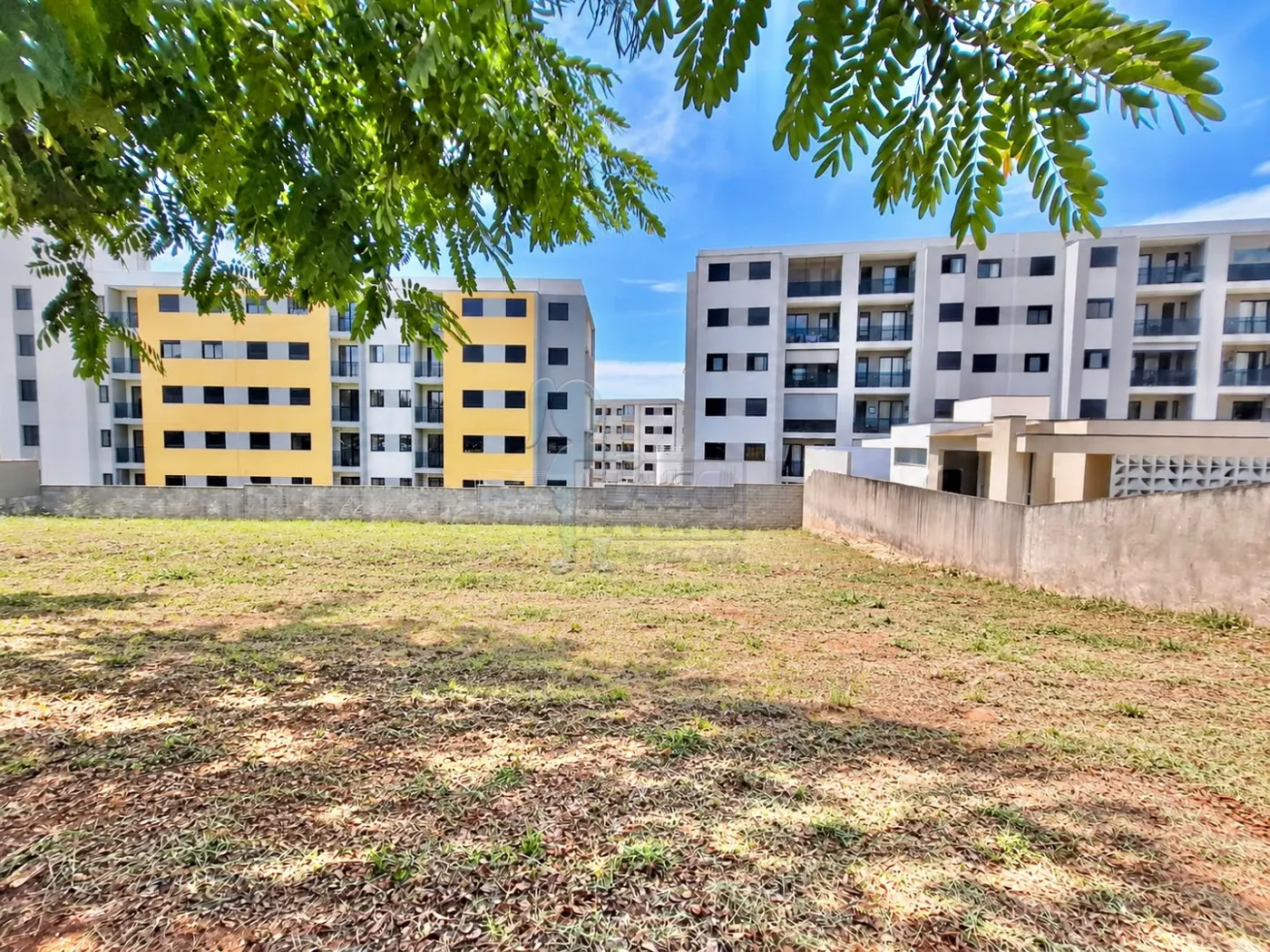 Comprar Terreno / Padr&atilde;o em Ribeir&atilde;o Preto R$ 159.000,00 - Foto 8