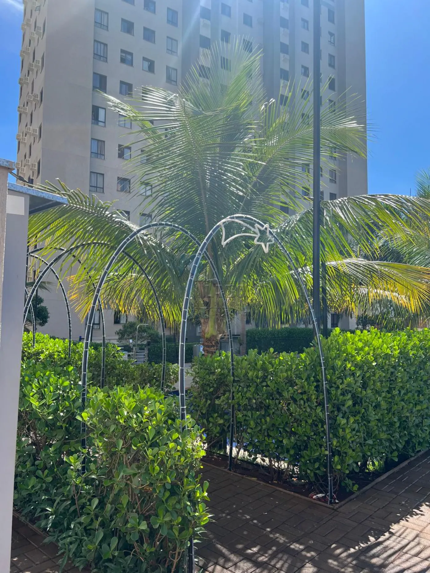 Alugar Apartamento / Padr&atilde;o em Ribeir&atilde;o Preto R$ 1.550,00 - Foto 13