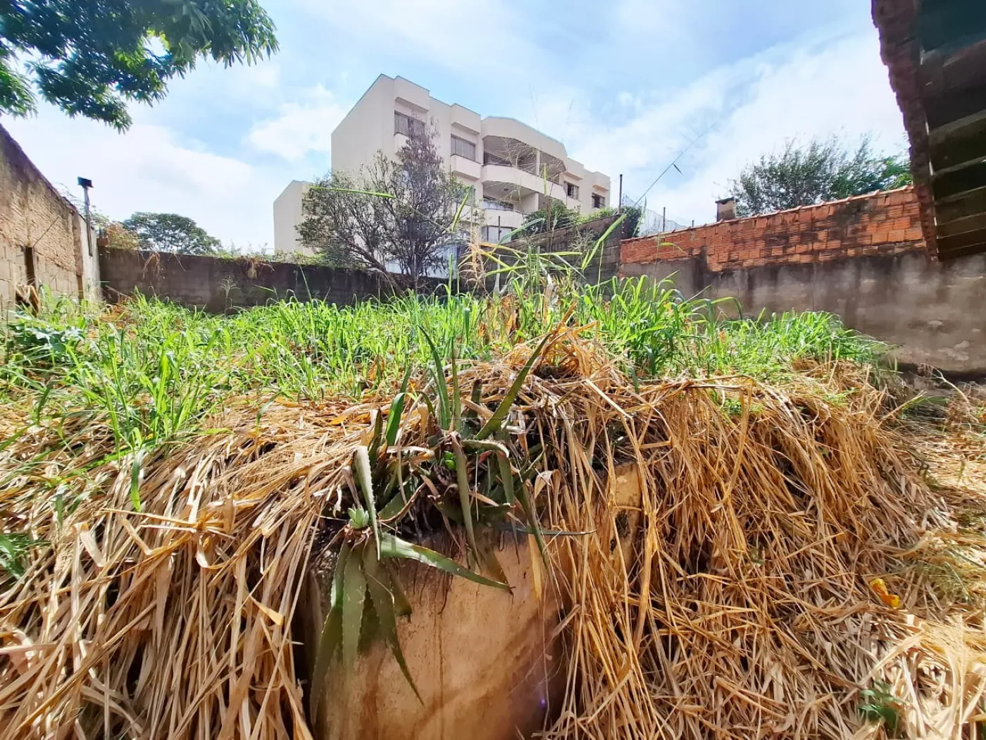 Comprar Casa / Padr&atilde;o em Ribeir&atilde;o Preto R$ 450.000,00 - Foto 22