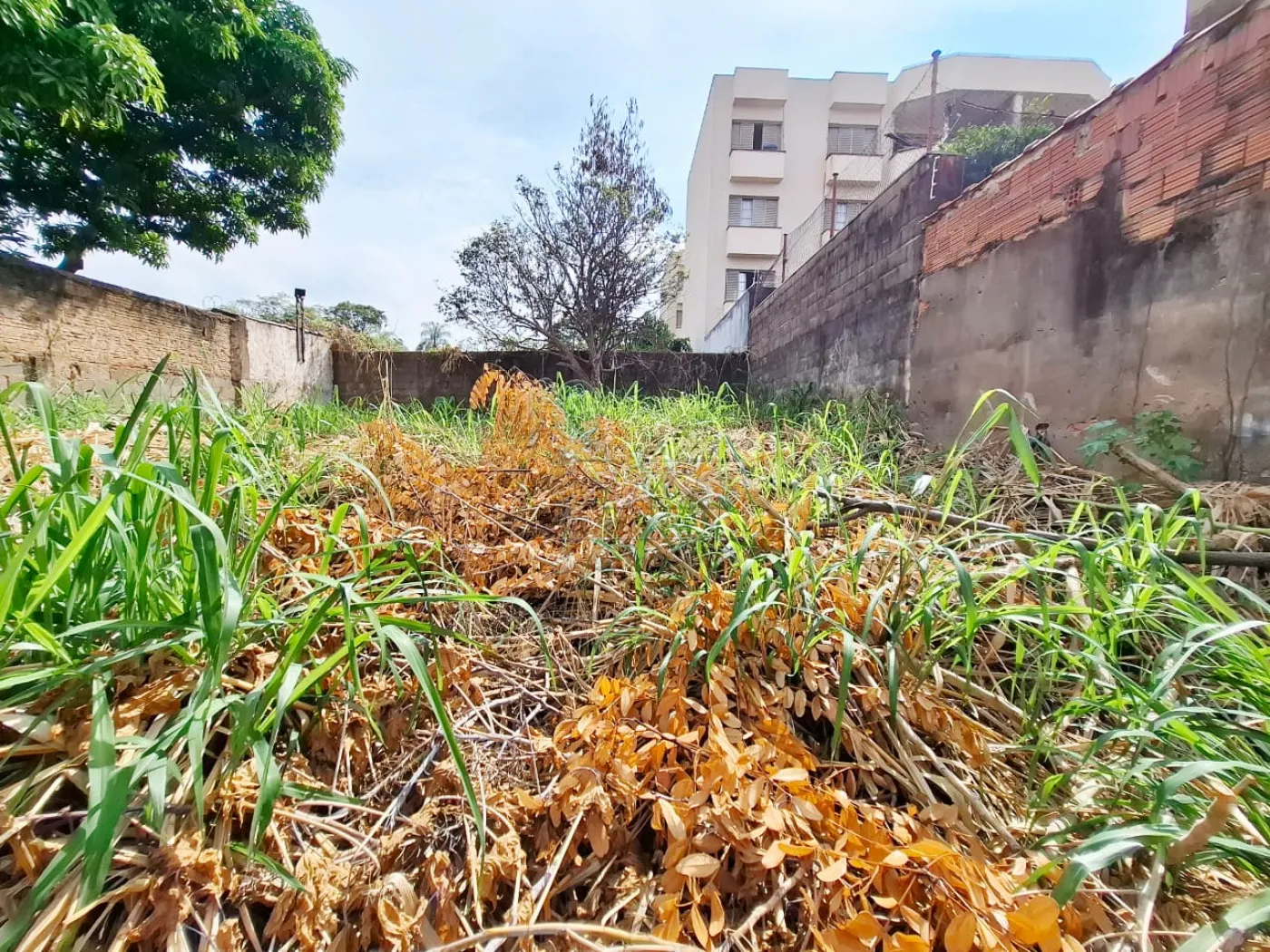 Comprar Casa / Padr&atilde;o em Ribeir&atilde;o Preto R$ 450.000,00 - Foto 23
