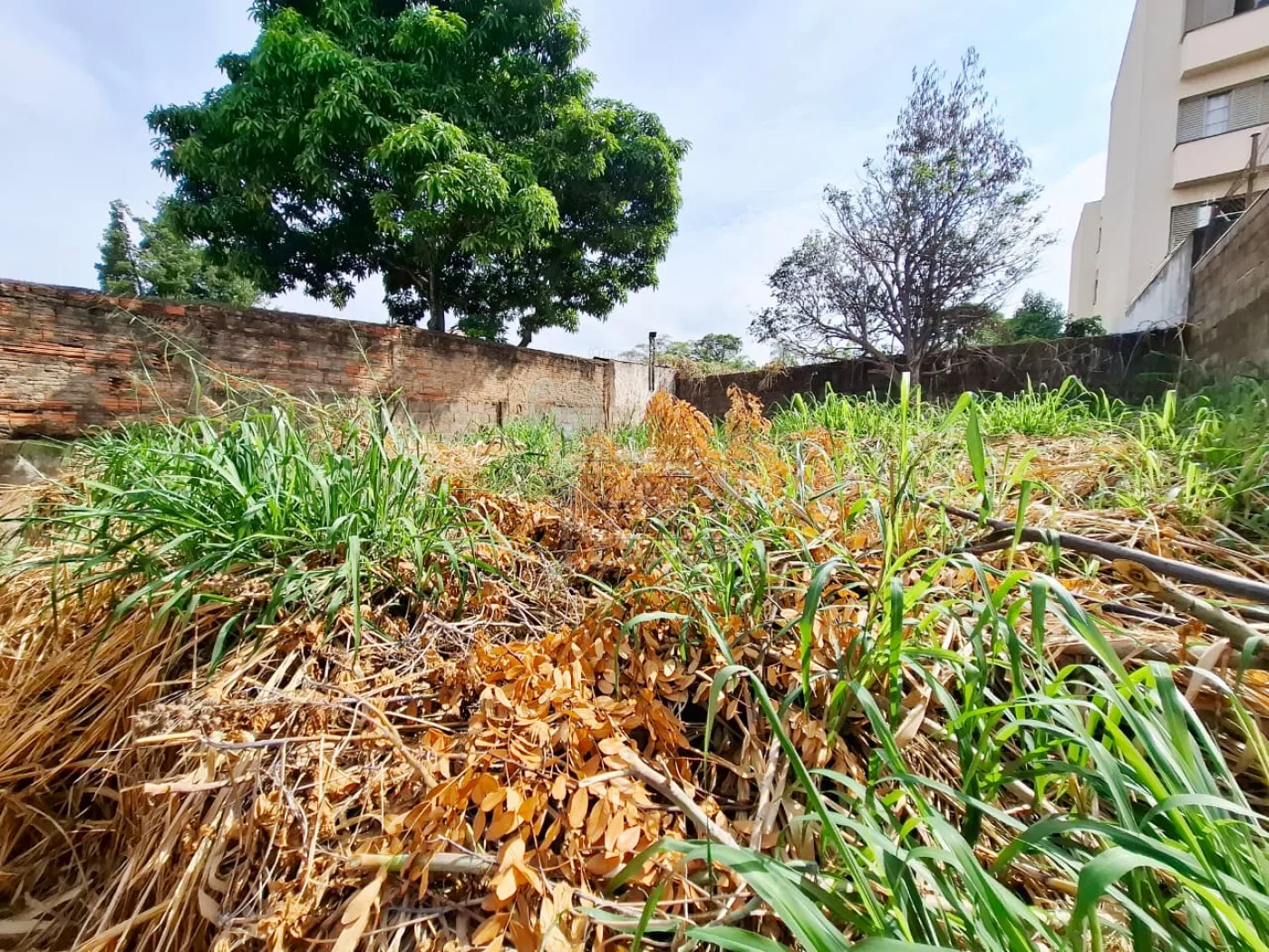 Comprar Casa / Padr&atilde;o em Ribeir&atilde;o Preto R$ 450.000,00 - Foto 24