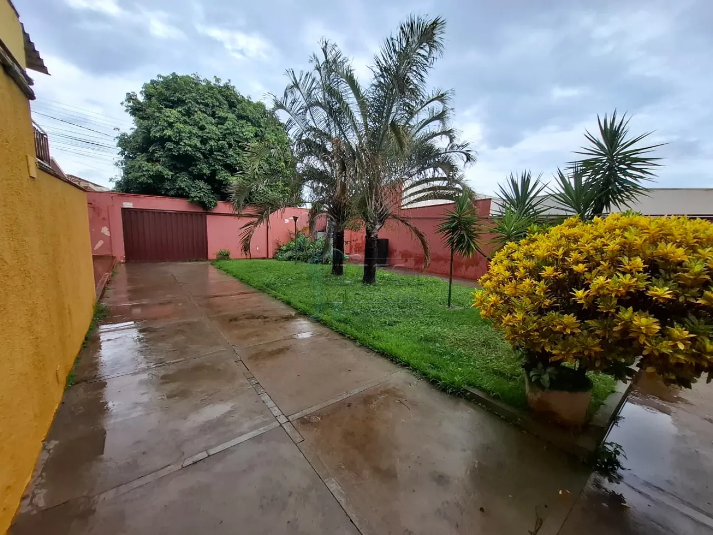 Alugar Comercial condom&iacute;nio / Escrit&oacute;rio - Loja em Ribeir&atilde;o Preto R$ 3.100,00 - Foto 1