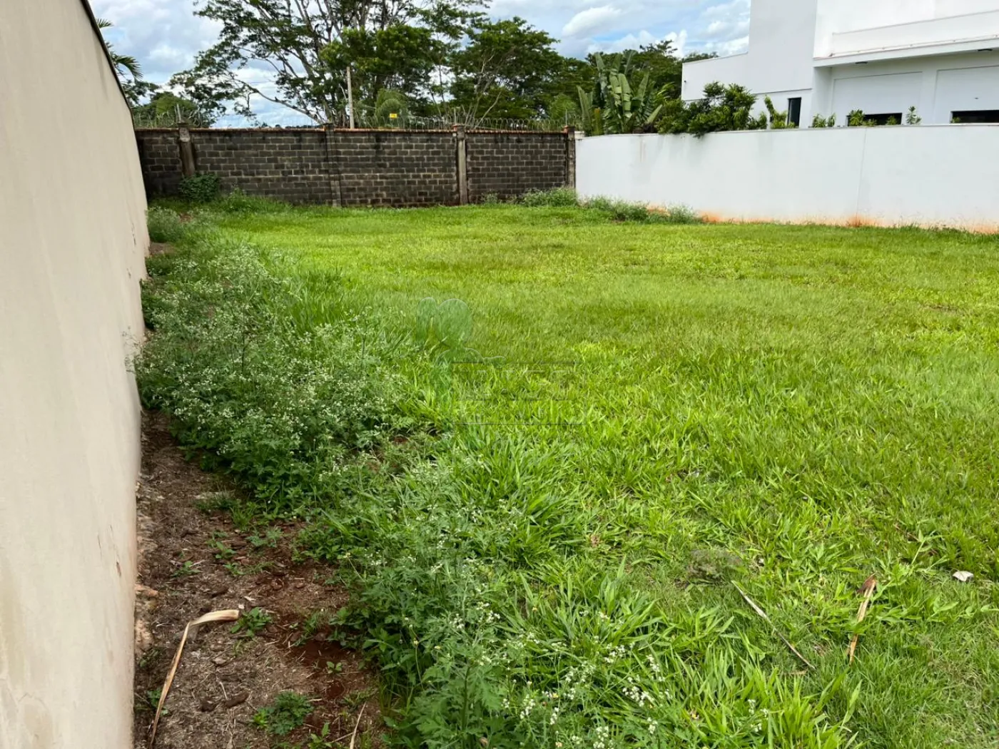 Comprar Terreno / Condom&iacute;nio em Bonfim Paulista R$ 800.000,00 - Foto 3