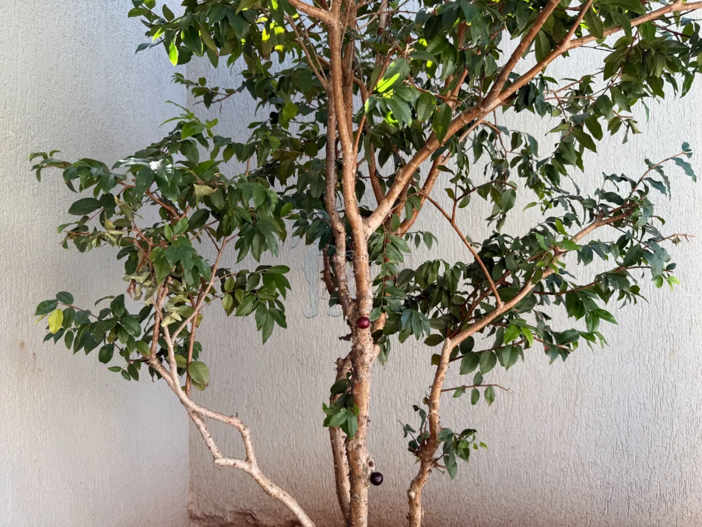 Comprar Casa condom&iacute;nio / Sobrado em Bonfim Paulista R$ 1.490.000,00 - Foto 61