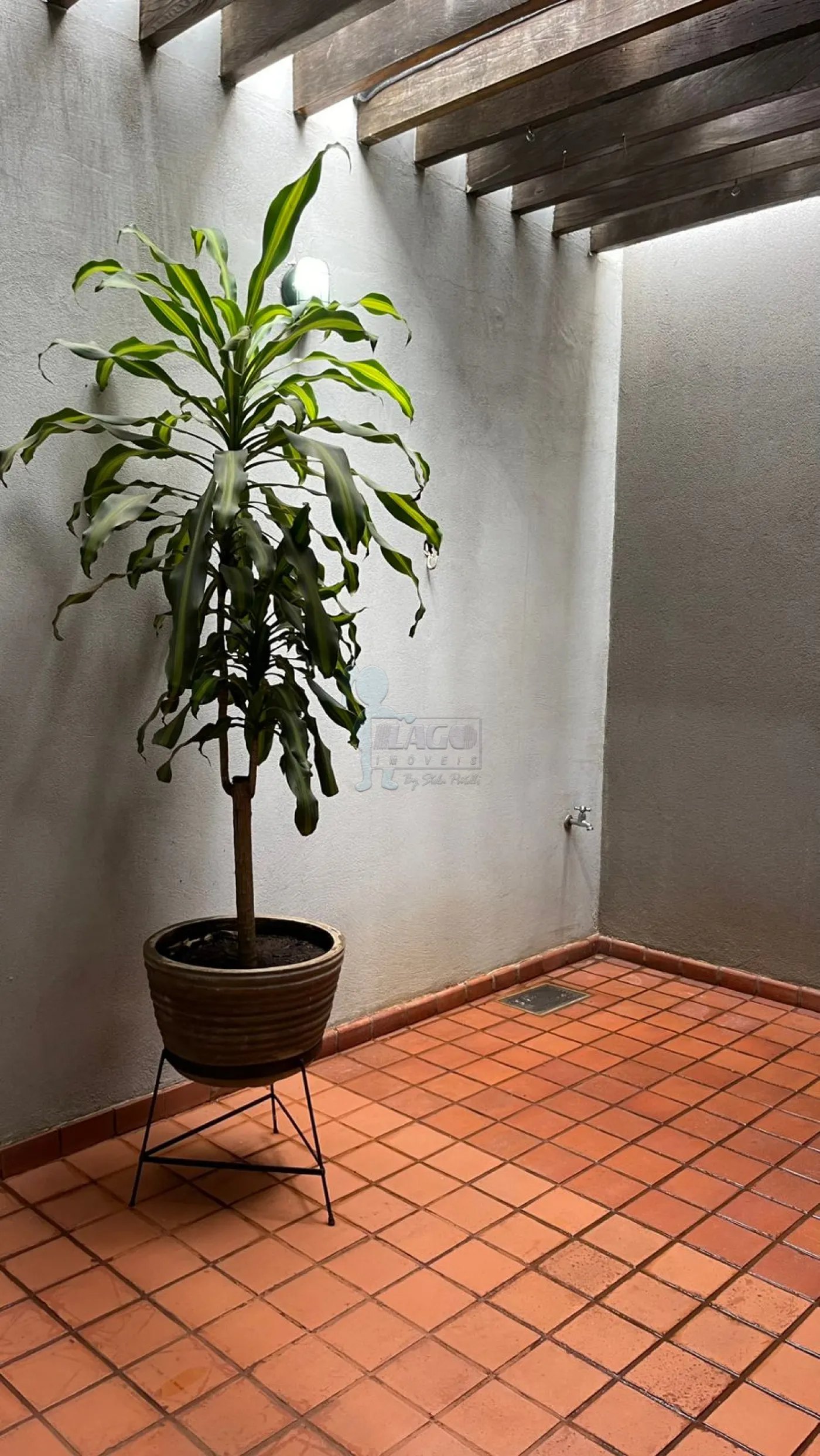 Comprar Casa / Padr&atilde;o em Ribeir&atilde;o Preto R$ 500.000,00 - Foto 15