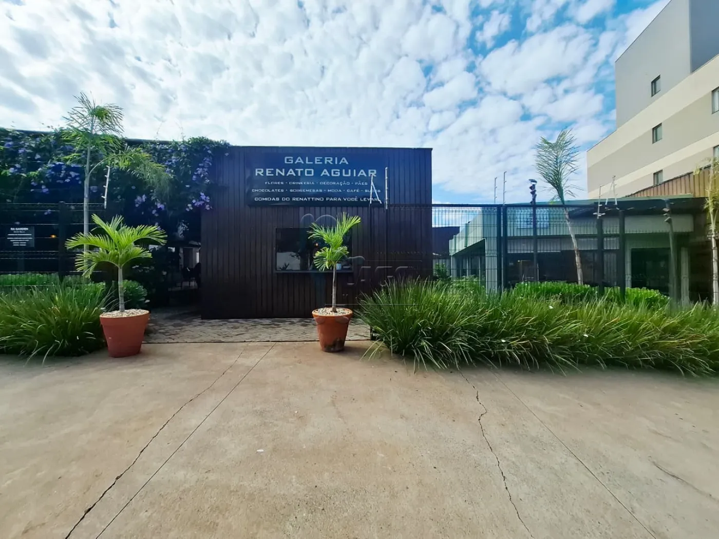 Alugar Comercial condom&iacute;nio / Escrit&oacute;rio - Loja em Ribeir&atilde;o Preto R$ 8.900,00 - Foto 14