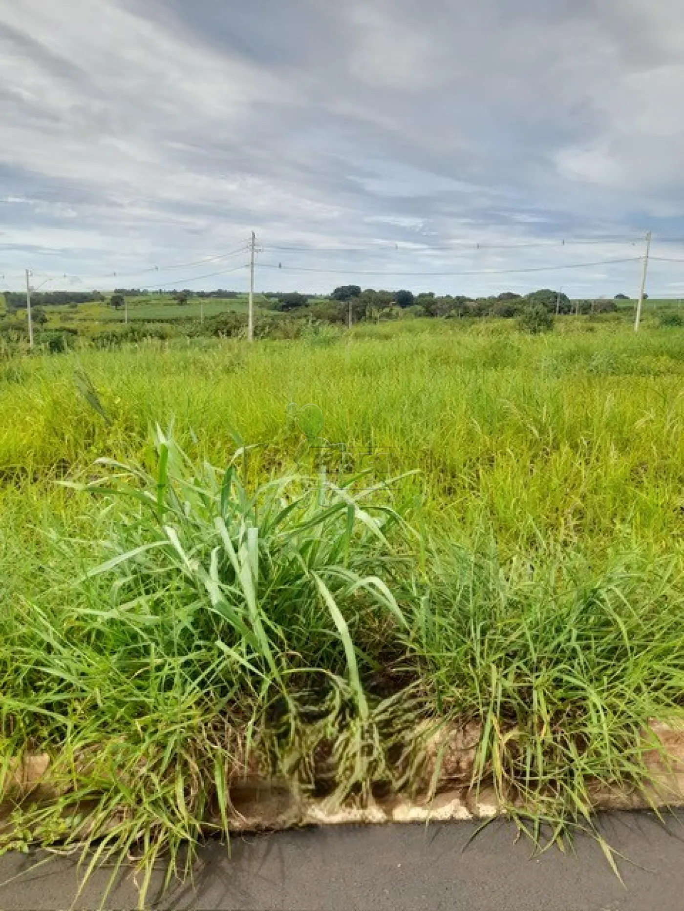 Comprar Terreno / Padr&atilde;o em Ribeir&atilde;o Preto R$ 155.000,00 - Foto 1