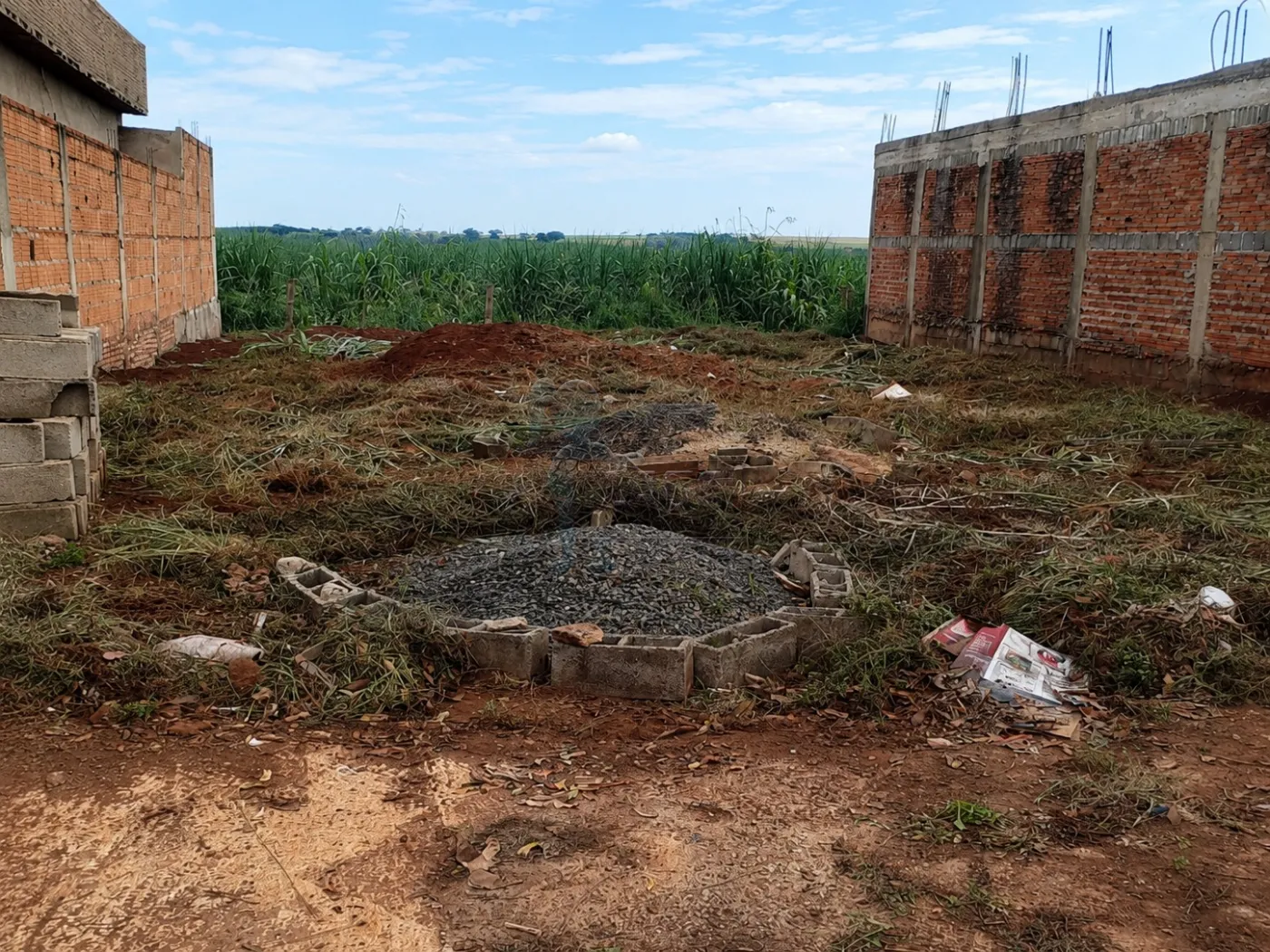 Comprar Terreno / Padr&atilde;o em Barrinha R$ 90.000,00 - Foto 3