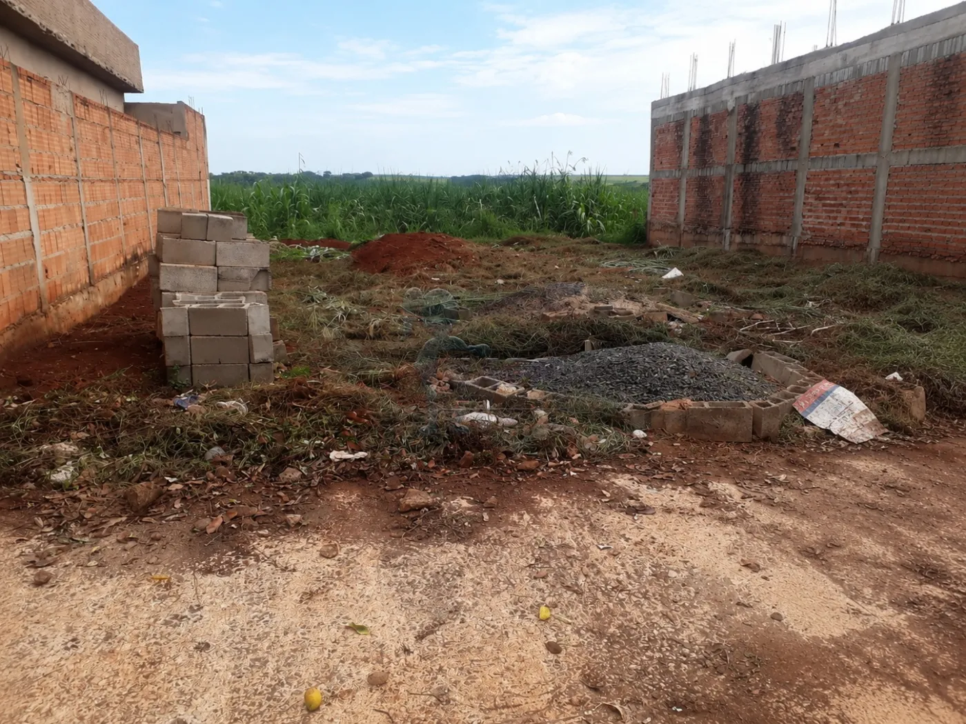 Comprar Terreno / Padr&atilde;o em Barrinha R$ 90.000,00 - Foto 4