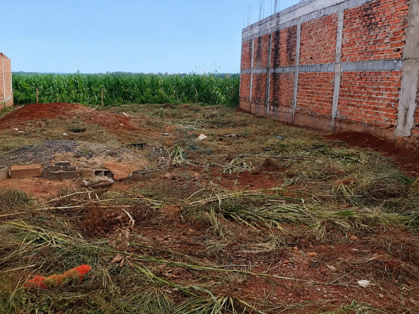 Comprar Terreno / Padr&atilde;o em Barrinha R$ 90.000,00 - Foto 8