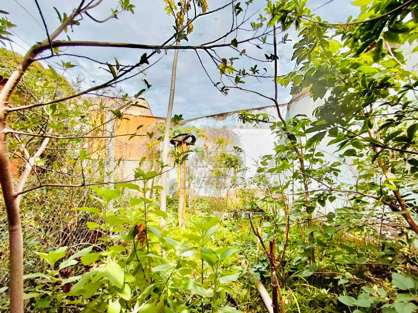 Comprar Casa / Padr&atilde;o em Ribeir&atilde;o Preto R$ 380.000,00 - Foto 18