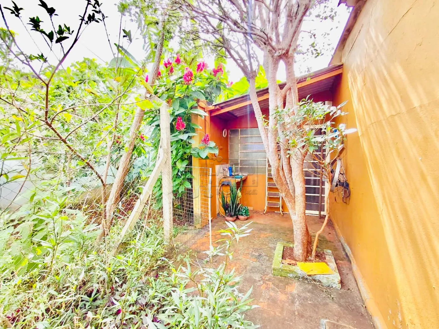 Comprar Casa / Padr&atilde;o em Ribeir&atilde;o Preto R$ 380.000,00 - Foto 17