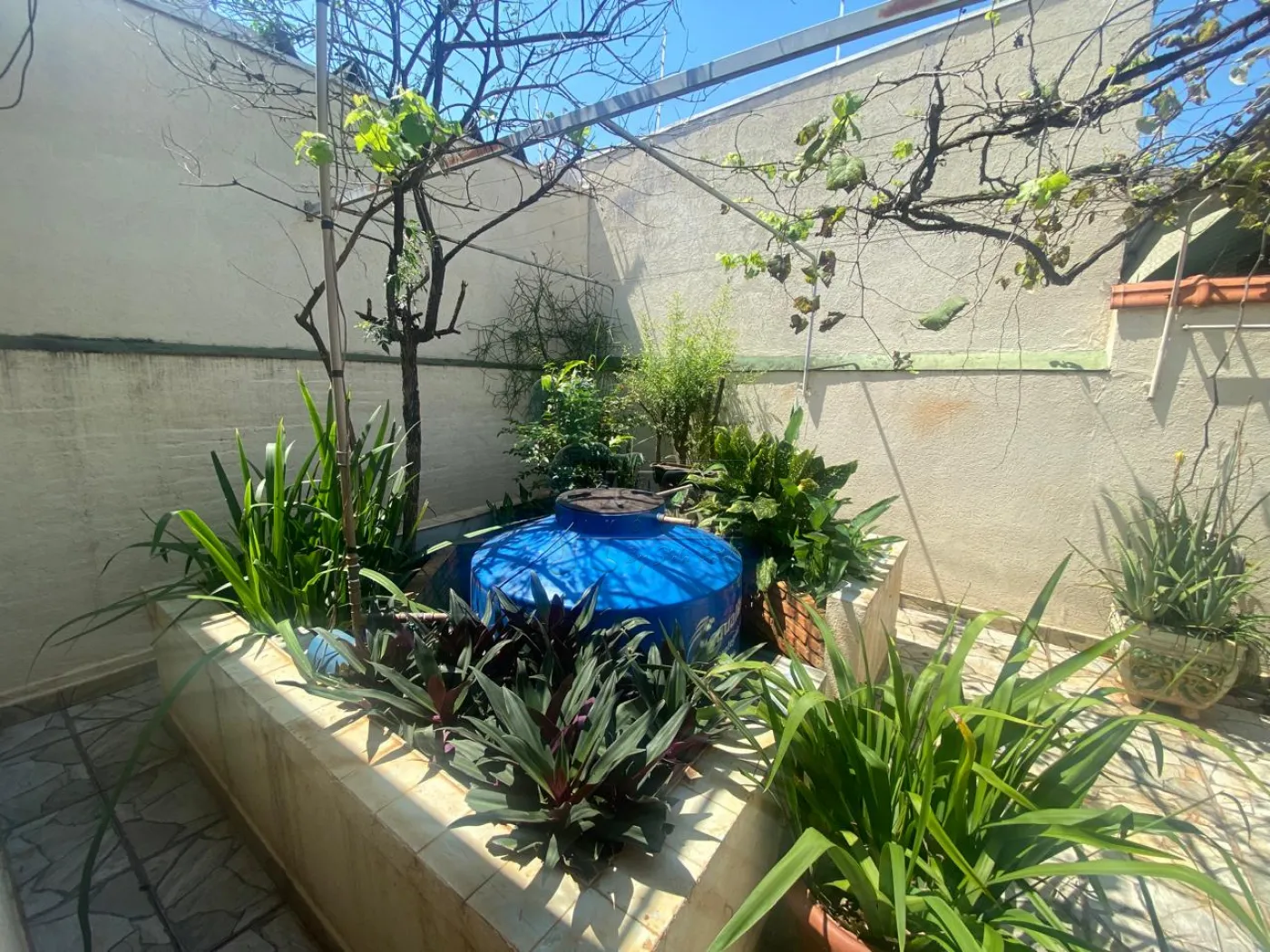 Comprar Casa / Padr&atilde;o em Ribeir&atilde;o Preto R$ 530.000,00 - Foto 25