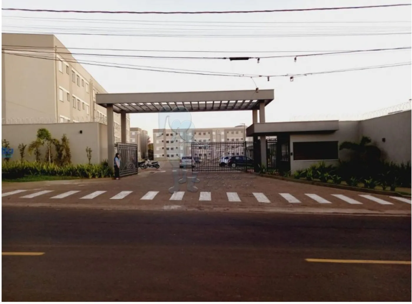 Alugar Apartamento / Padr&atilde;o em Ribeir&atilde;o Preto R$ 1.540,00 - Foto 1