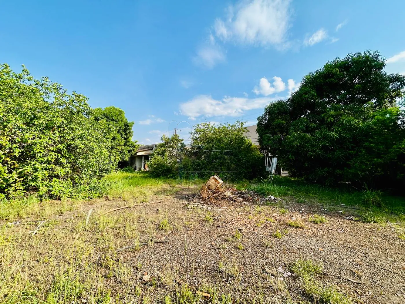 Comprar Terreno / Comercial em Ribeir&atilde;o Preto R$ 2.120.000,00 - Foto 3
